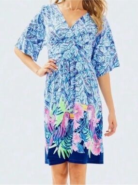 Lilly Pulitzer- Parigi Dress “Let's Mango” Bennett Blue, Size L